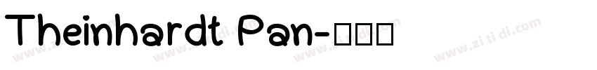 Theinhardt Pan字体转换